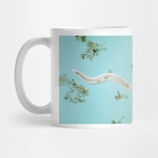 Microscopic free-living nematode worm from garden soil Mug